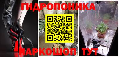 дистиллят марихуана Гай