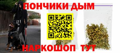 амф Гатчина