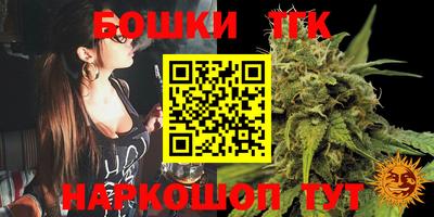 амф Гатчина