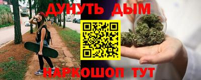 амф Гатчина