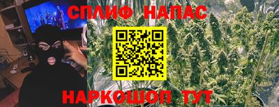 амф Гатчина