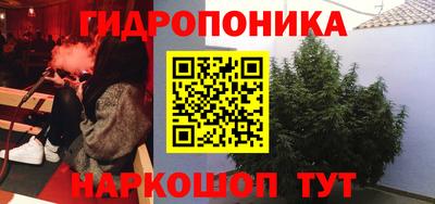 дистиллят марихуана Гай